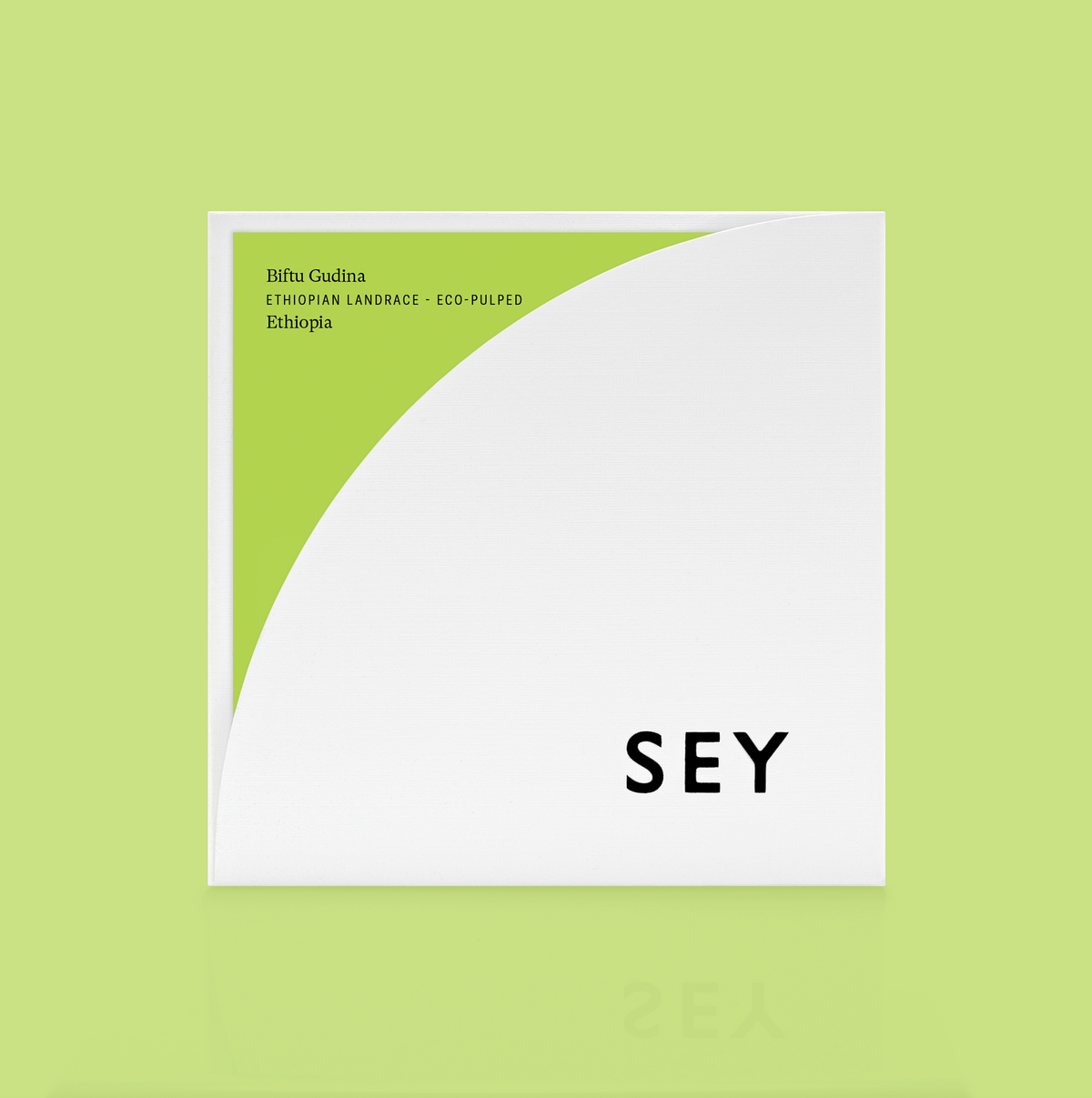 Biftu Gudina packshot