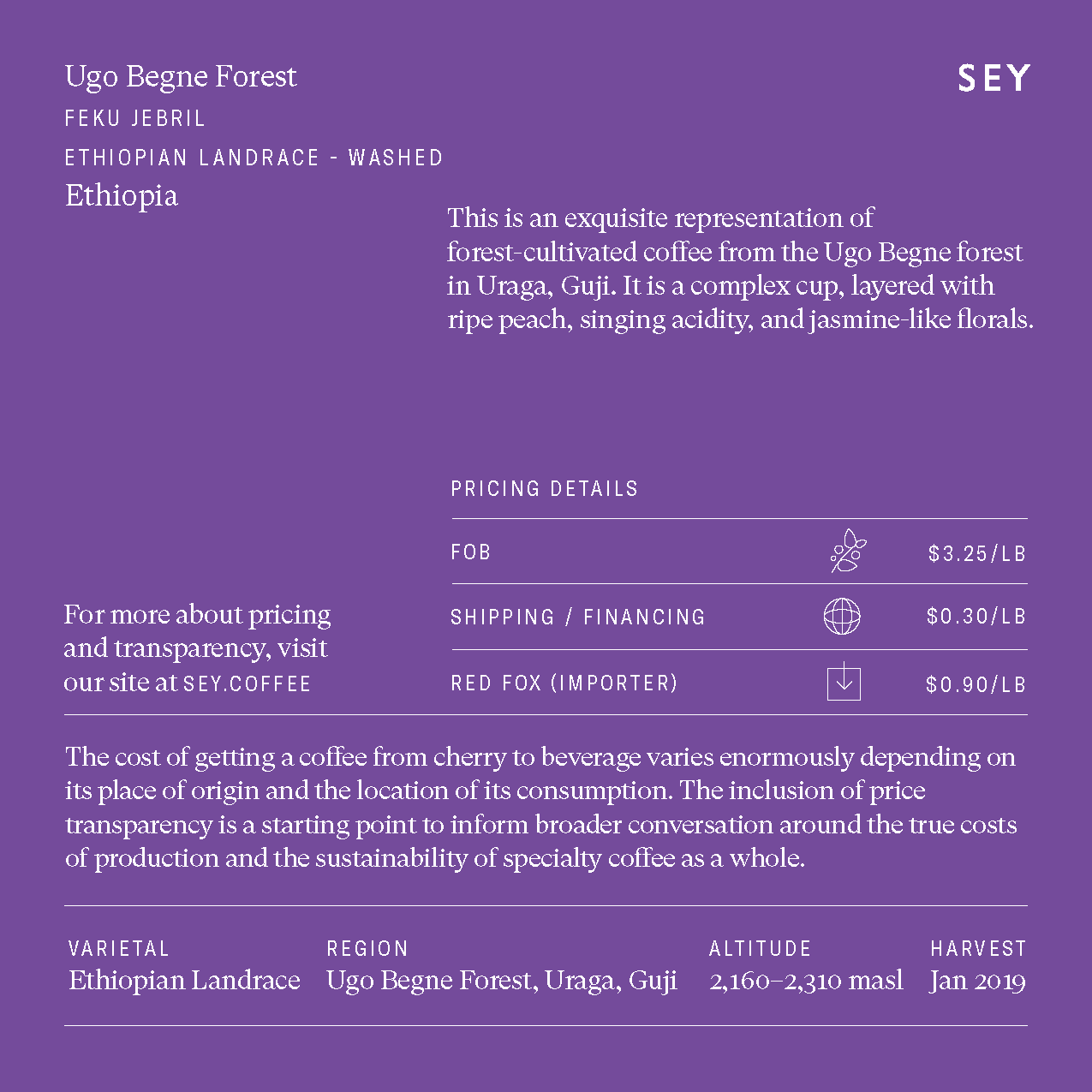 2019 Ugo Begne Forest; Feku Jabril - Ethiopia